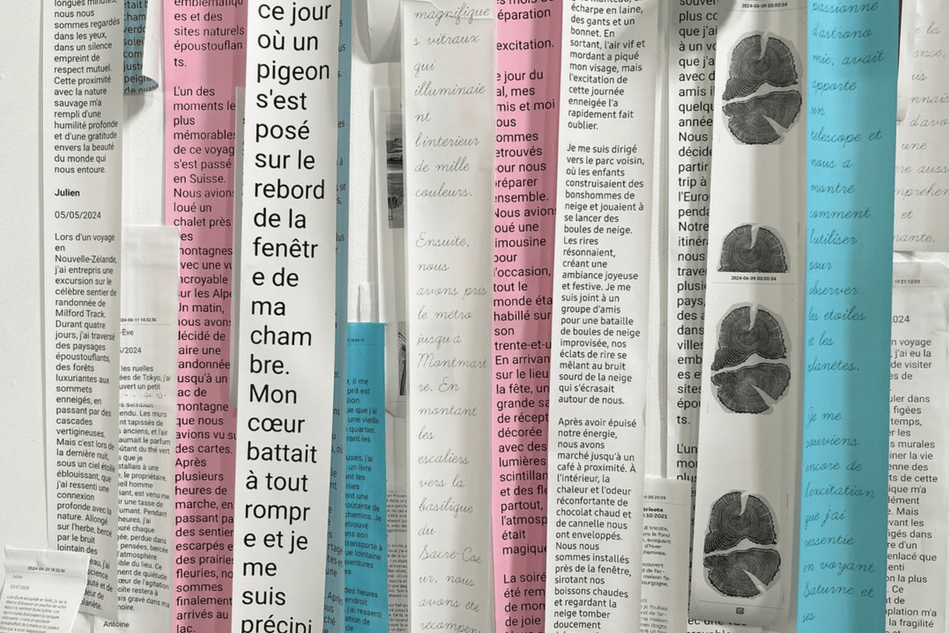 Image du projet