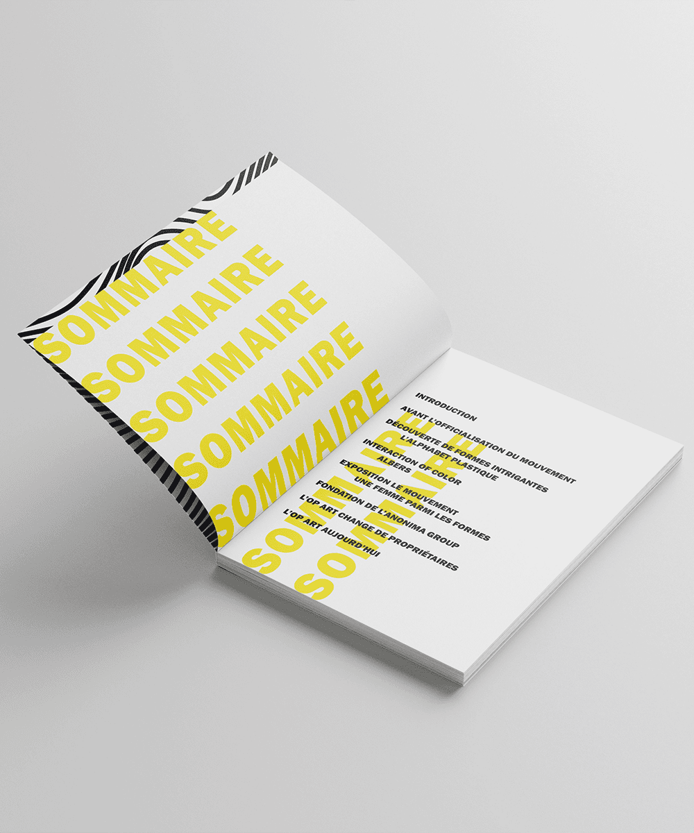 Image du projet